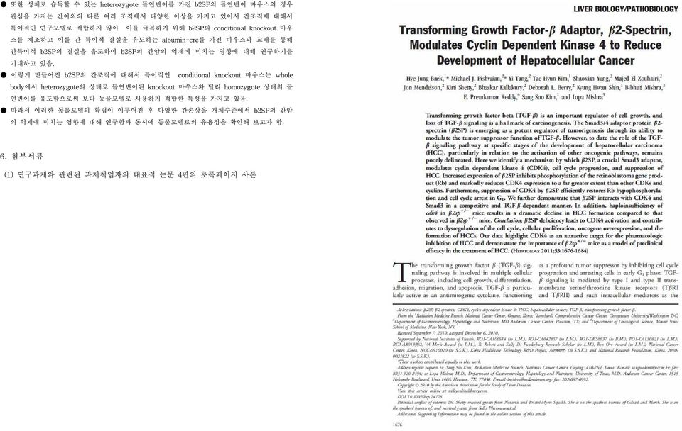 이렇게 만들어진 b2sp의 간조직에 대해서 특이적인 conditional knockout 마우스는 whole body에서 heterozygote의 상태로 돌연변이된 knockout 마우스와 달리 homozygote 상태의 돌 연변이를 유도함으로써 보다 동물모델로