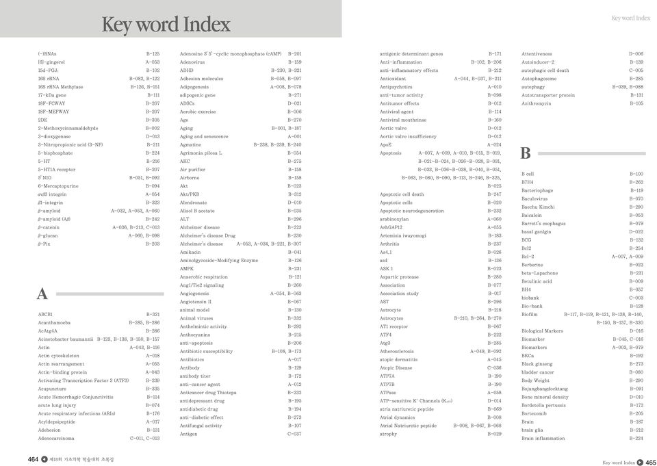 Index Key