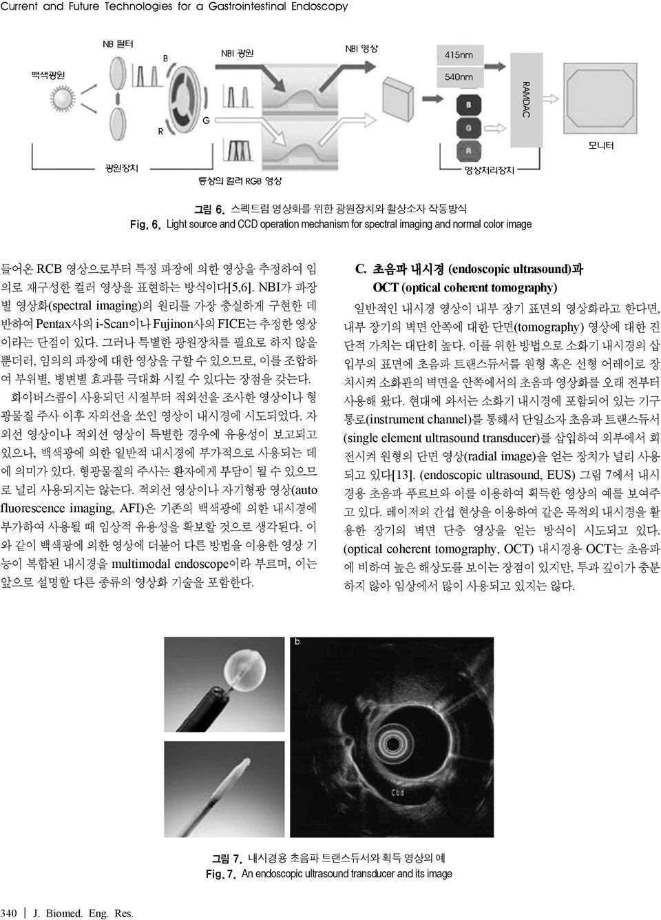 AFI multimodal endoscope C 초음파 내시경(endoscopic ultrasound 과 OCT(optical coherent tomography (tomography (instrument channel (single element ultrasound transducer (radial image