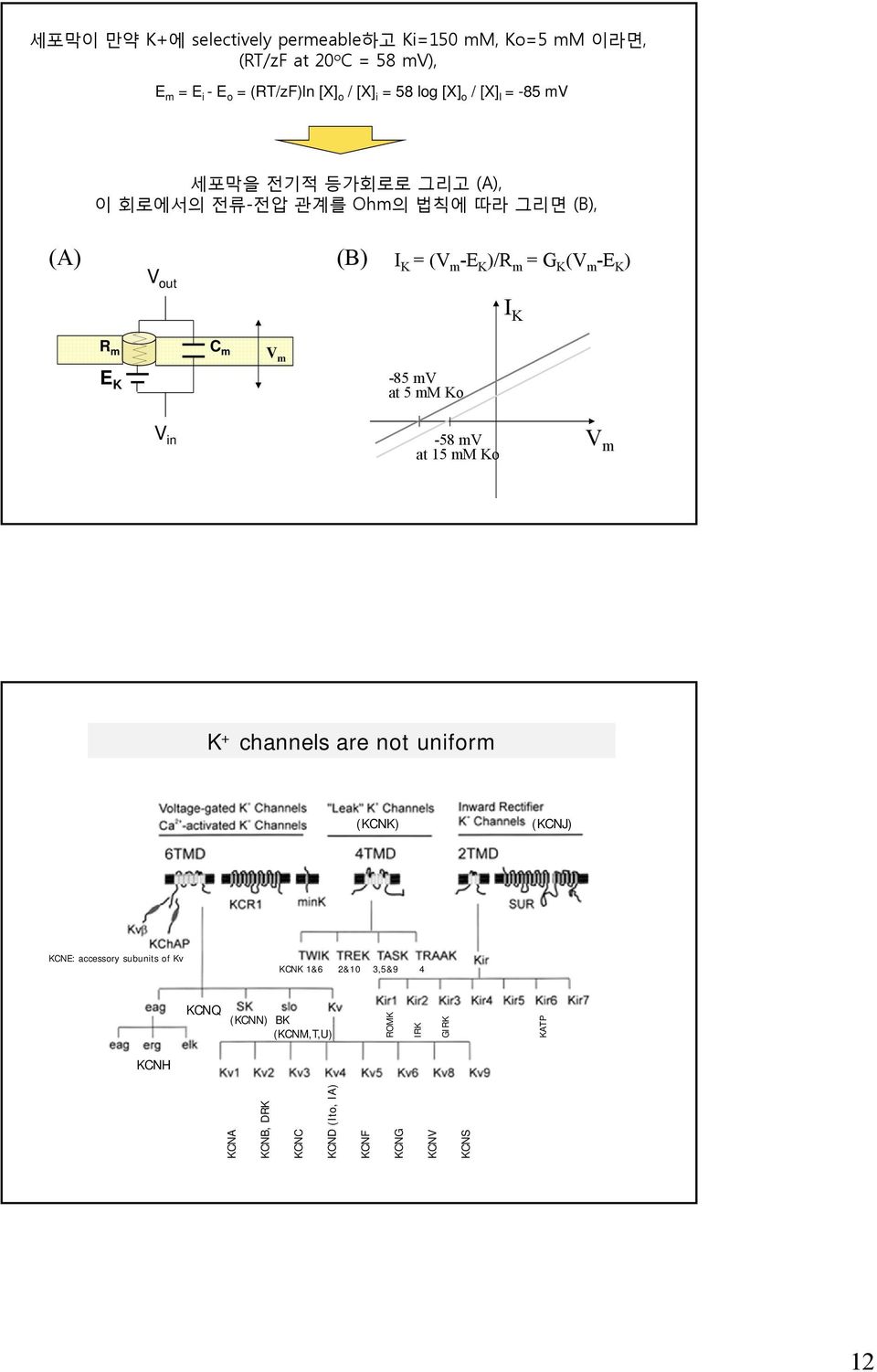 out I K R m C m V m E K -85 mv at 5 mm Ko V in -58 mv at 15 mm Ko V m K + channels are not uniform (KCNK) (KCNJ) KCNE: accessory