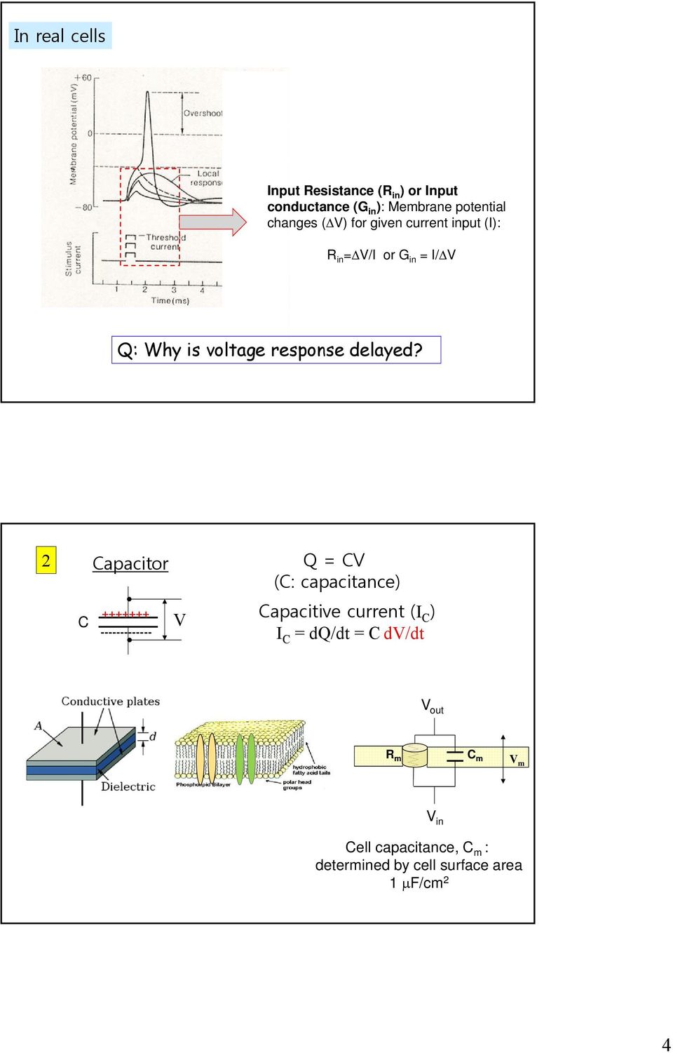 2 C Capacitor +++++++ ------------- V Q = CV (C: capacitance) Capacitive current (I C ) I C =