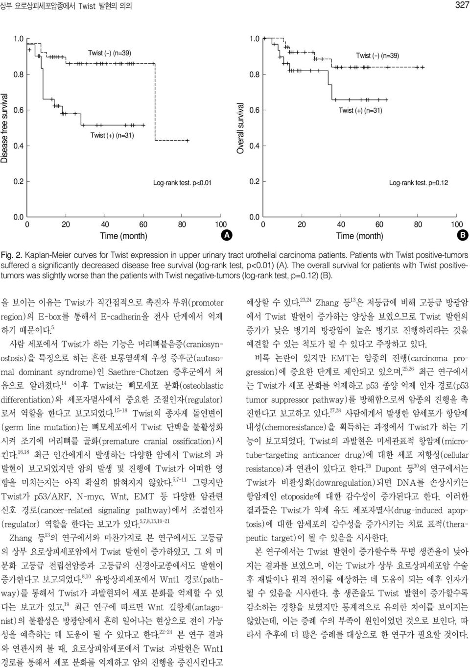 Patients with Twist positive-tumors suffered a significantly decreased disease free survival (log-rank test, p<0.01) (A).