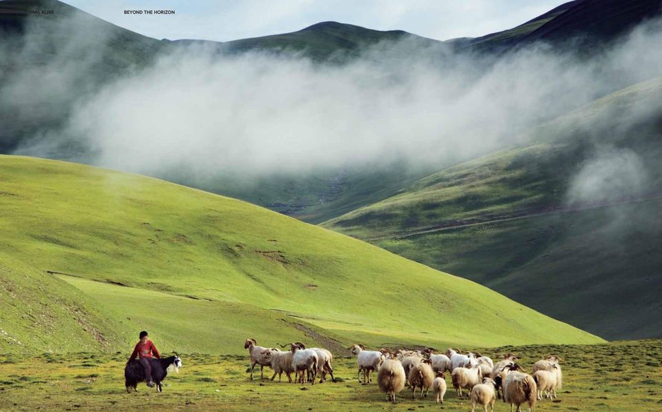 I travelled on the path following in the footsteps of the silk traders.