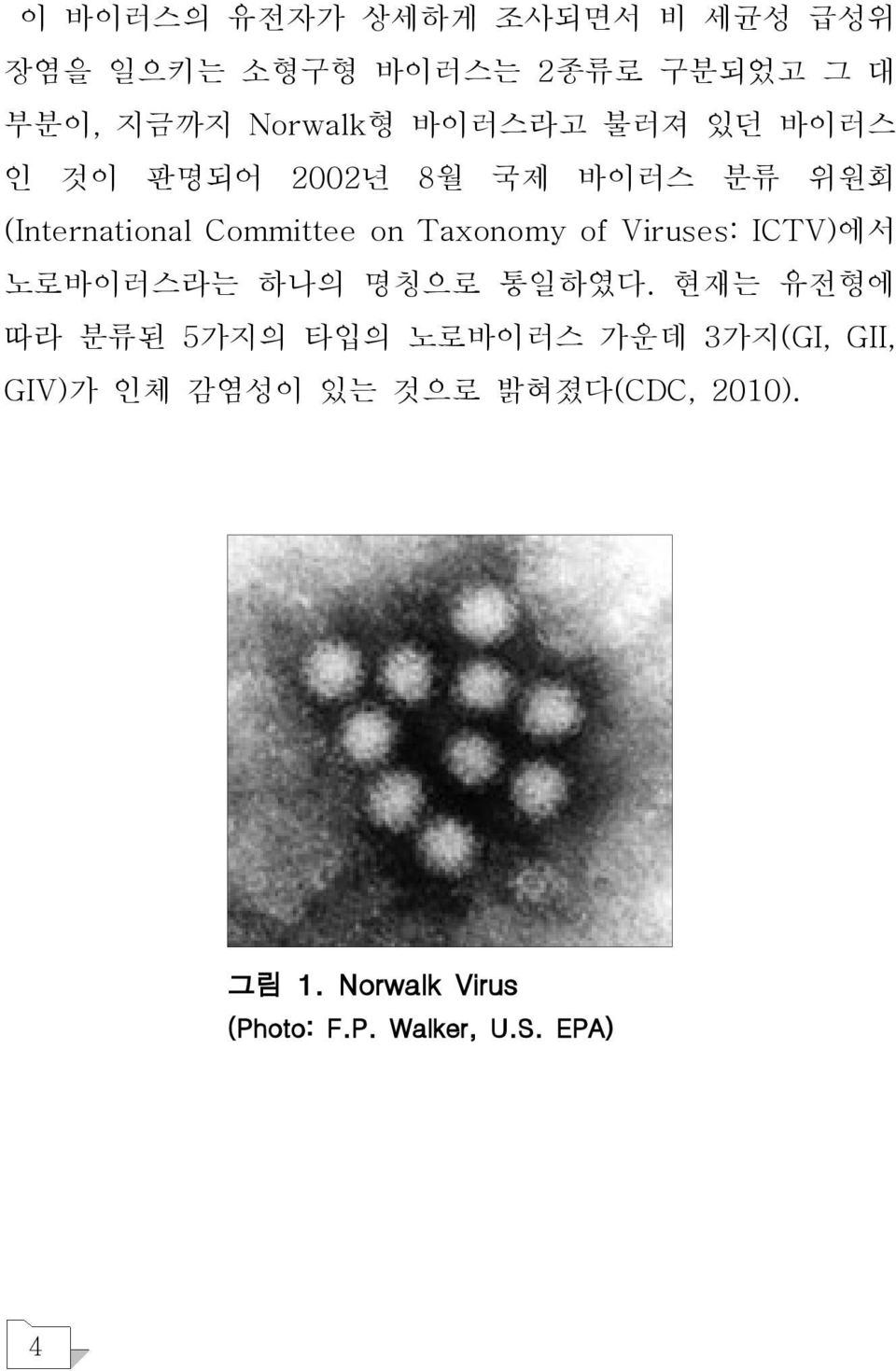 of Viruses: ICTV)에서 노로바이러스라는 하나의 명칭으로 통일하였다.