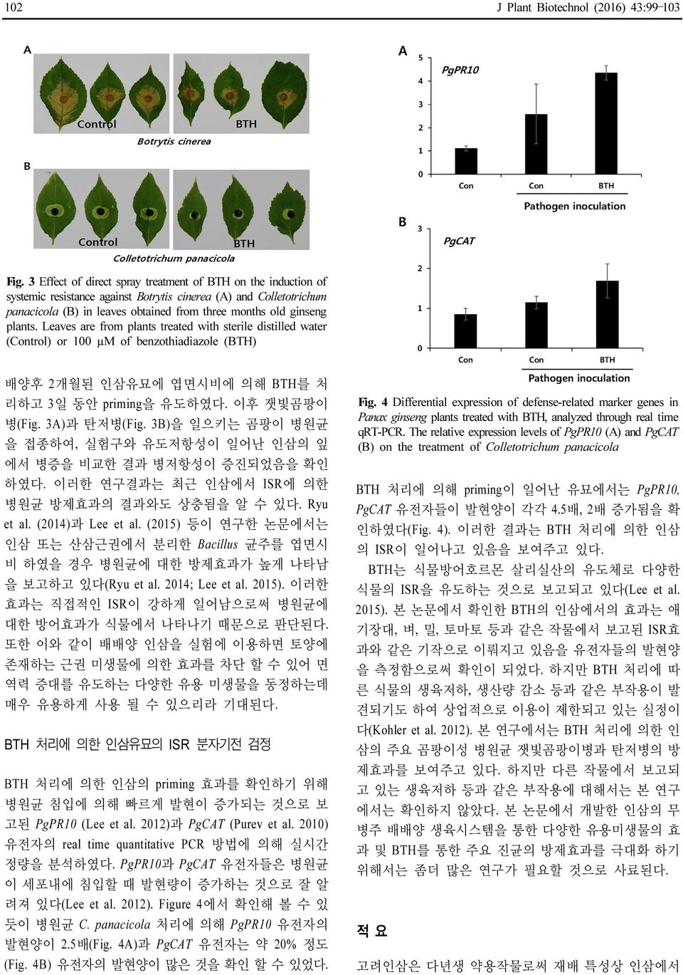 plants. Leaves are from plants treated with sterile distilled water (Control) or 100 µm of benzothiadiazole (BTH) 배양후 2개월된 인삼유묘에 엽면시비에 의해 BTH를 처 리하고 3일 동안 priming을 유도하였다. 이후 잿빛곰팡이 병(Fig. 3A)과 탄저병(Fig.