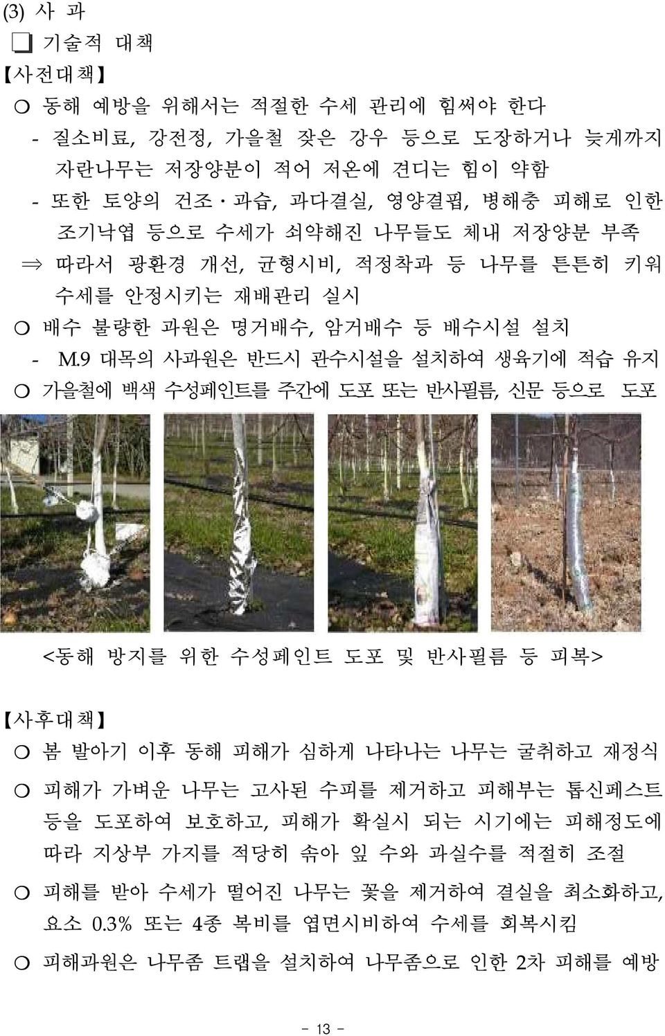 9 대목의 사과원은 반드시 관수시설을 설치하여 생육기에 적습 유지 가을철에 백색 수성페인트를 주간에 도포 또는 반사필름, 신문 등으로 도포 <동해 방지를 위한 수성페인트 도포 및 반사필름 등 피복> 사후대책 봄 발아기 이후 동해 피해가 심하게 나타나는 나무는 굴취하고 재정식 피해가 가벼운