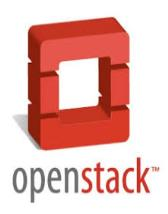 Docker with PaaS Docker EcoSystem Operating systems Collaboration with Red Hat : RHEL 6.