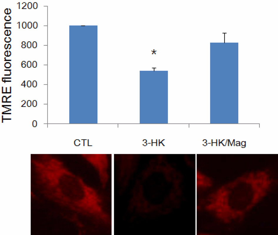 Á x Á½ Á Á xá yá½ Á Á½ Á½ Á Fig. 3. Determination of ROS generation by 3-HK with 250 µm after pretreatment with magnolol.