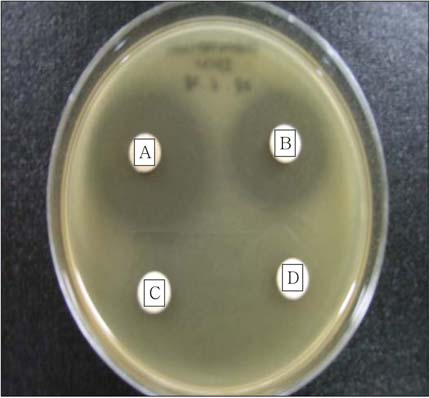 ü ³ e w 677 Fig. 3. Antimicrbial activities f Schizandra chinensis extracts against Eubacterium limsum. A, S. chinensis 80% ethanl extract; B, S.