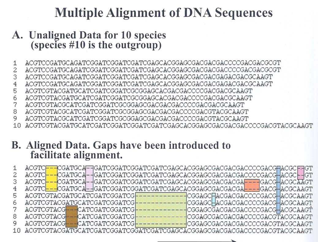 DNA sequence 자체의염기치환뿐아니라