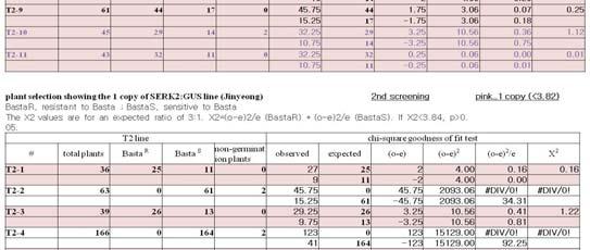 재조합에사용된벡터할을수행할것임. BR 보조수용체인 BAK1과 A. pmdc163 B. pbgwfs7 C.