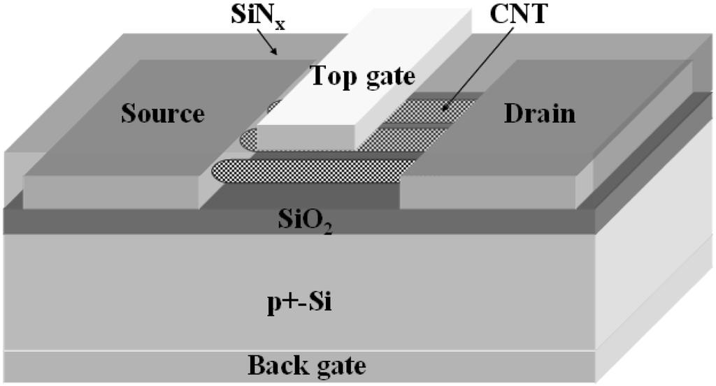 p k ù p p l 67 Fig. 2. Cross-sectional view of the CNT-FET biosensor. Fig. 1. Energy band diagram of the CNT-FET with p-type characteristics (a) non bias (b) negative drain bias.