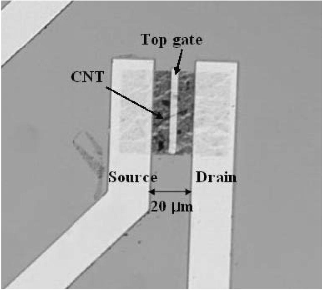 x w» w Ÿ (AZ 5214) w ql wš electron beam evaporator w Ti/Au (10 nm/ 100 nm) w z vp v w x Fig. 3. Photograph of the fabricated CNT-FET biosensor. k.
