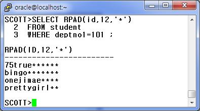 11) RPAD 함수 문법 : RPAD( 문자열 또는컬럼명, 자리수, 채울문자 )