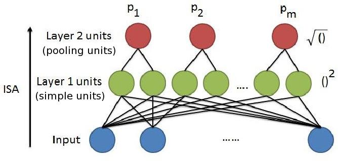 Figure 3-2: 신경망구조로표현된 ISA 네트워크 [4] p i (x t ; W, V ) = k n V il ( W lj x t j )2 (3.1) l=1 ISA 알고리즘은 ISA 네트워크두번째계층의 sparse feature representation 을찾음 으로써첫번째계층의학습가능한가중치파라미터 W 를학습하는데, 이때다음 식을이용한다.