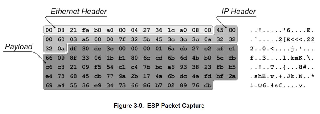 ESP Processing & compression example 1byte 8bytes 4bytes