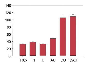 요의성분분석및항산화항균활성연구 DPPH scaveging activity (%) Polypenol (mg/ml) Figure 1. Change of DPPH free radical scavenging activity concentration in the various of urine Abbreviations: T0.5, Toroxl 0.