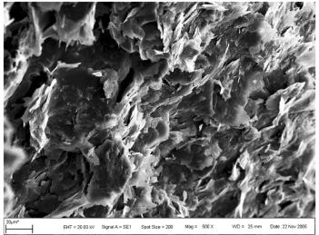 이승엽 백민훈 Fig. 5. a SEM photomicrograph of a fracture-filling illite mineral aggregated as a platy form and the EDS chemical analysis for the sample showing a considerable K content.