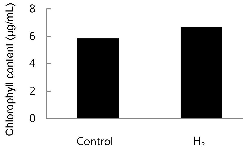 424 서지혜 최수정 이상훈 이재화 Control H 2 Figure 3. Lipid content of A. platensis in nano-bubble hydrogen water and distilled water Lipid content Lipid fluorescence image. (c) Figure 2.