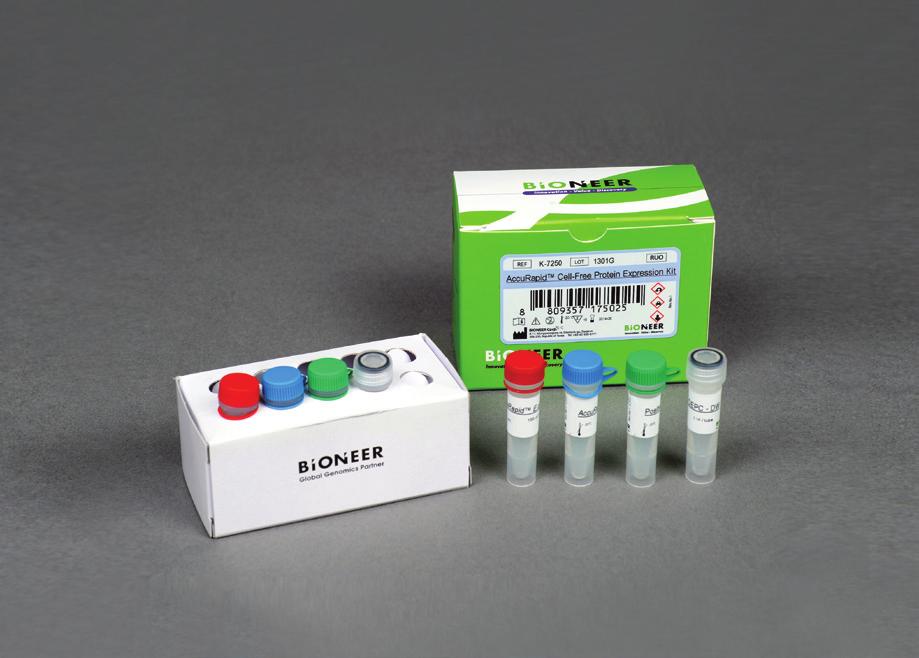 AccuRapid Cell-Free Protein Expression Kit Screening for Protein Expression Experimental Data 1.