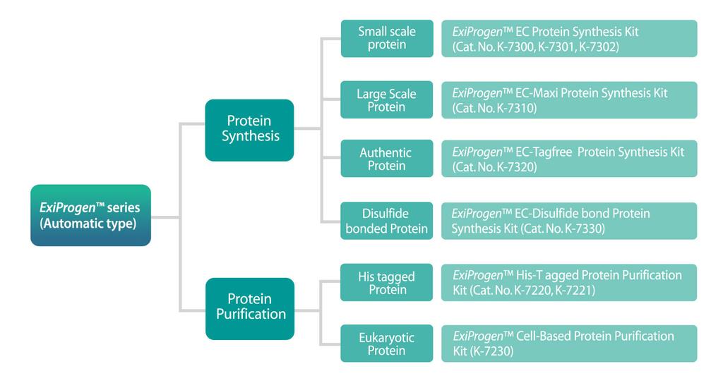 Selection Guide Overview 바이오니아에서는무세포단백질발현방법을 ExiProgen TM 에적용시킨다양한 kit 들을개발하여판매하고있습니다.