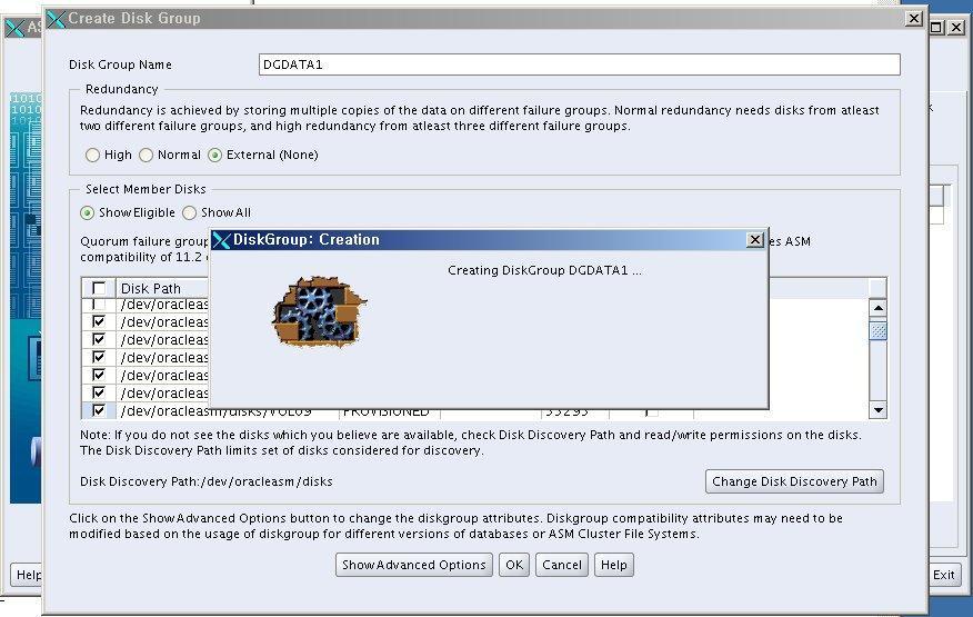 Create Disk Group -