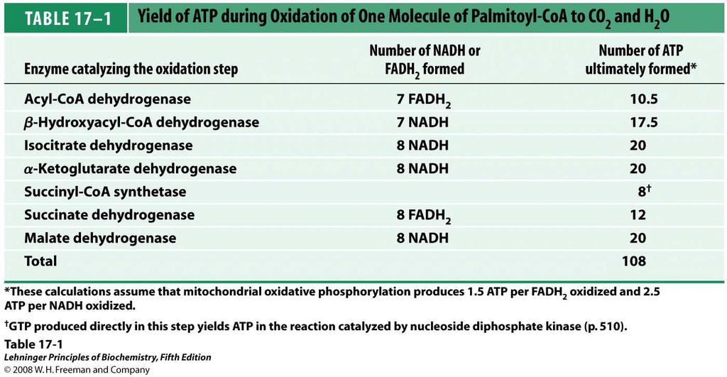 TABLE 17-1 Yield of ATP during Oxidation of