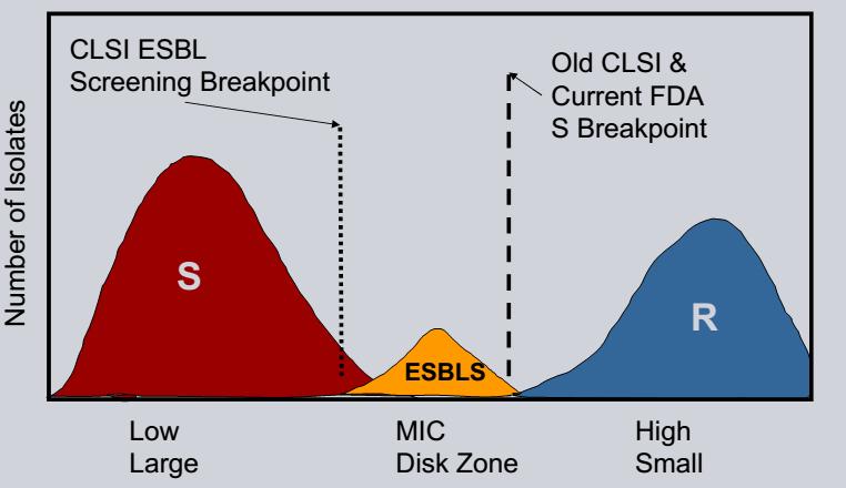 ESBLs: Standard