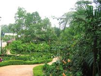탑 안에레스토랑, 공연장등을갖췄고꼭대기의전망대는 360 도회전해쿠알라 룸푸르시내를감상할수있는최적의장소로꼽힌다. 나나스산림보호구역에 위치하고있다. 자세한내용은홈페이지 www.kltower.com.my 를참고할것.