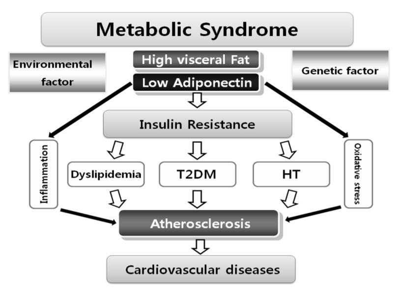 임수외 1 인 : Adiponectin 의임상적의미 Fig. 5. Status and role of adiponectin in metabolic syndrome and related disorders. 디포넥틴의농도를약 3배증가시켰다 22). 이러한효과는당뇨병환자, 마른정상인및비만한정상인에서도관찰되었다 22,77).