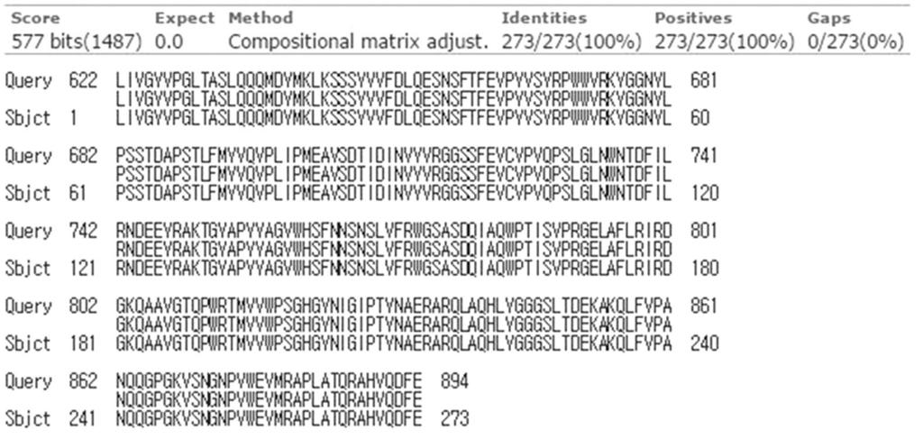 368 Fig. 7. Amino acid sequence homology between JX878305.1 and pbx DWV VP1. The deduced amino acid sequences based on pbx DWV VP1 (GenBank accession No. KP739938.