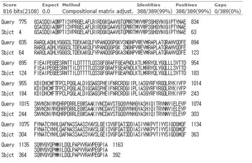 Fig. 8. Amino acid sequence homology between JX878305.1 and pbx DWV VP1 VP3. The deduced amino acid sequences based on pbx DWV VP1 VP3 (GenBank accession No.
