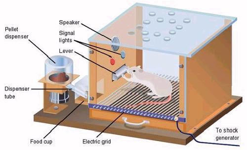 < 그림 > 조작적조건화 (Skinner Box) 자료원 : http://blogimg.hani.co.