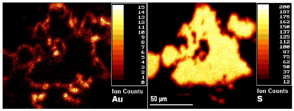 Ion imaging Image dimensions : from 100um to less than 10um 이미지분석 (Imaging Sims) :