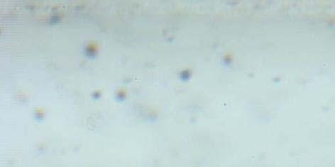 5 m/s 카메라의시간분해능및공간해상도 (spatial resolution) 를고려하여 Table 1에나타낸시험조건으로평판의경계층내를이동하는미세기포들을가시화하고자하였다. 유속이빨라질수록이동하는기포들을잔상없이포착하기위해서는초당프레임수를높여야하고고속카메라의정해진메모리에따라공간해상도가감소하게된다. 이때 1~1.5 m/s 유속에서가장큰 3.12 x 1.