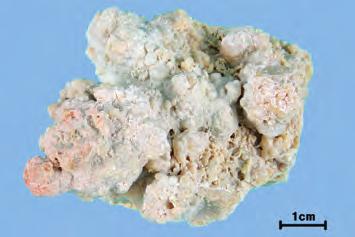 석종유 石鐘乳 Stalactitum KHP 탄산염광물방해석의종유상집합체