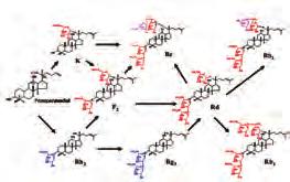 2012 KONKUK TECH in BIO Lab.8 생물공학연구실 직책인원성명 ( 담당분야 ) 교수 1 백현동 연구교수및 Post Doc.