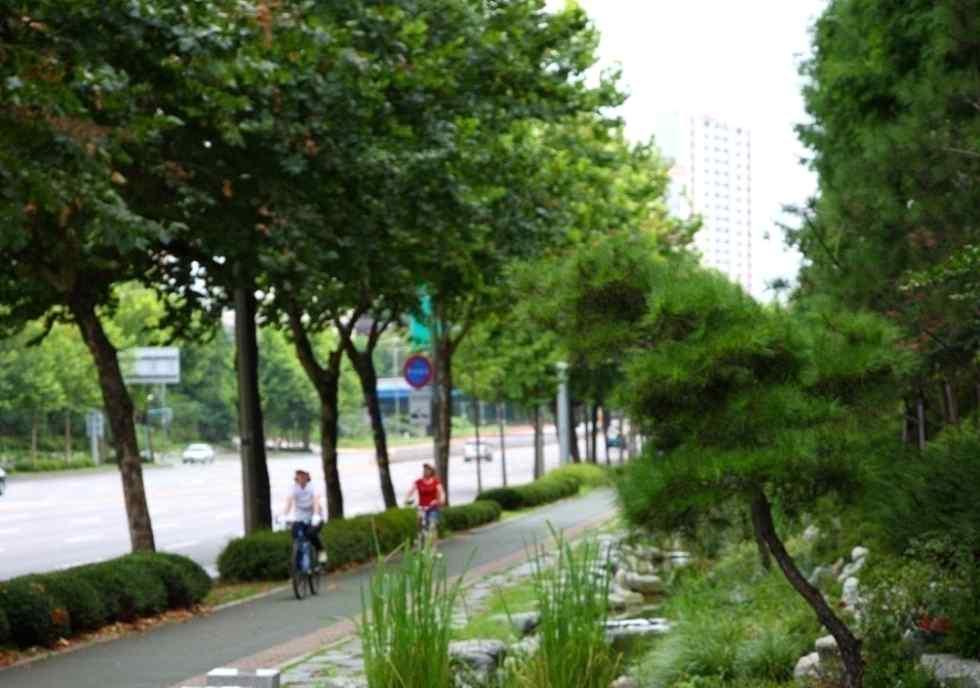 서울시는 옥상 공원화 사업을 통하여 2002년부터 2008년까지 시청별관 등 218개소를 대 상으로 10만m2의 녹지를