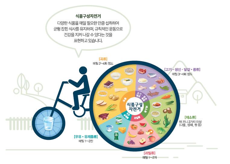 2 장. 한국인의영양상태와영양기준 2.4.2. 식사구성안과식품구성자전거일반인들이영양소기준을일상적식생활에적용하는데어려워할수있으므로, 나라별로영양소섭취기준을충족하는식품섭취량을제안한식사구성안이나식품모델을다양하게개발하여사용하고있다. 우리나라에서도한국인영양소섭취기준을충족할수있는식사구성안이마련되었다 ( 보건복지부, 2015b).