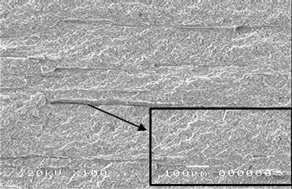 HR Coil 재 Box 형용접구조물의피로강도평가에관한연구 23 력인 σ s 및 σ m 는각각다음조건을만족하여야한다. (2) m = 1 t 0 t x (y)d y. Fig. 8 SEM observation the fracture surface of on the transverse HR coil(sm490a) 선상으로분포되어있는것으로나타났다.