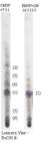 다. 인동 BuOH 분획의 column chromatography (1) - Loganin major part (2)~(4) - iridoid 추정부분 (5) - other compounds (6) - saponin 추정부분 상기 chromatogram상에서 (1) 부분은 subfraction B-4052에해당한다.