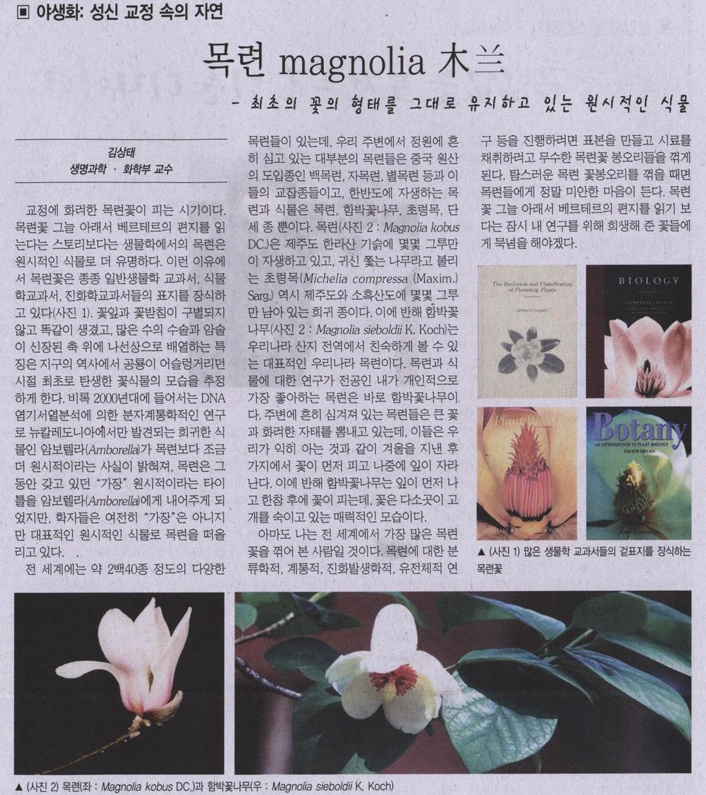 목련 (Magnolia) - 전세계 240종정도 - 원시피자식물group에속하는오래된식물 - 한반도의자생목련 : 목련,