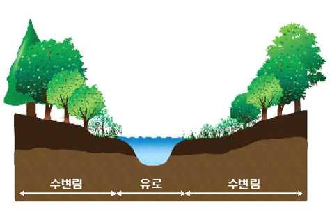 1.3.2 생존필요토양요건 수위변동구간내생존수목의하부에위치한토양시료분석을수집하여토양분석을실시하였다. 댐내부의운영에따라서변화된수위로발생된파랑으로인한토양유실, 토양구조변화, 토양수분함량, 뿌리드러남등생존에필요한토양의조건을분석하였다. 1.4 연구사례 ( 수변생태경관림 ) 1.