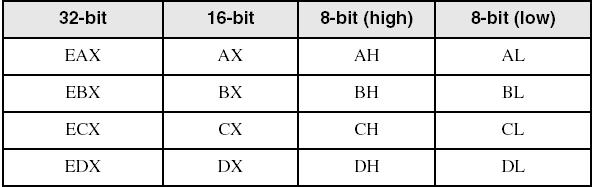 Accessing Parts of Registers 8-bit name, 16-bit name, or 32-bit name