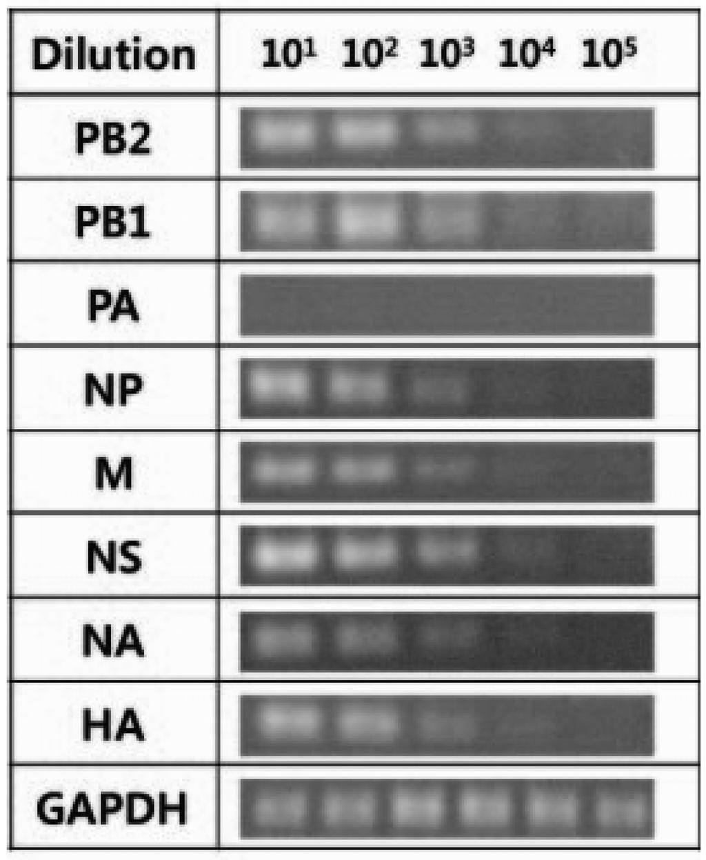 Culture medium was taken at indicated time pointes after infection and mixed with mouse total RNA as carrier used for viral RNA isolation.
