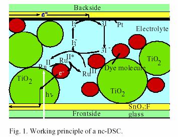 nl/docs/library/report/2000/rx00020.pdf Dye-Sensitized Solar Cell: Working Principle http://www.ecn.nl/docs/library/report/1998/rx98040.pdf Photon Excitation of dye Fast electron injection into C.