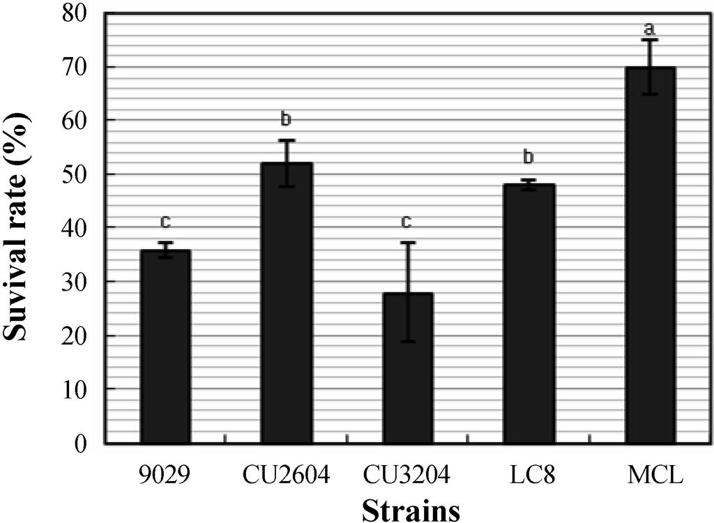 L. casei CU2604 as a Yogurt Starter 623 Fig. 2. Survival rates of five Lactobacillus casei strains after 12 h in MRS broth containing 0.3% oxgall.