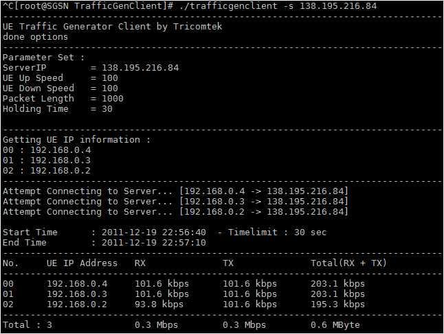 ( 그림 34-2) Traffic Generation Client 구동화면 라.