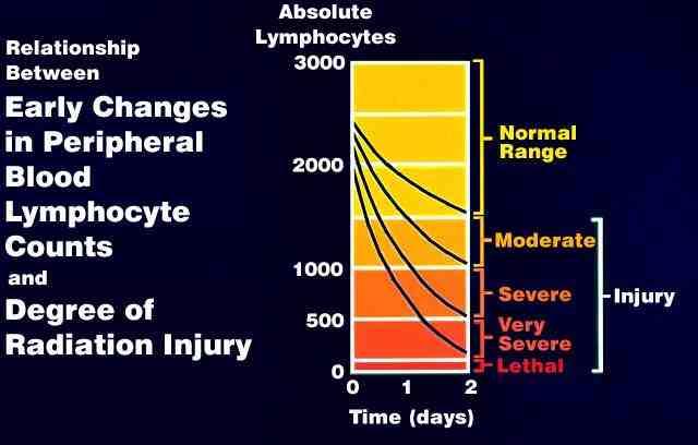 제 7 장 _ 피폭환자치료 (1) 방사선피폭과적혈구조혈계 (erythropoietic system) 의반응적혈구조혈계는성숙적혈구의생성에관여한다. 이계통은피폭후에극명한적혈구의재생을주도하는데, 치사선량이하의피폭시에는백혈구나혈소판의재생보다조금일찍회복되며정상수준이되기전에때때로기준선을초과하였다가다시정상범위로떨어지는 overshoot 현상을보이기도한다.