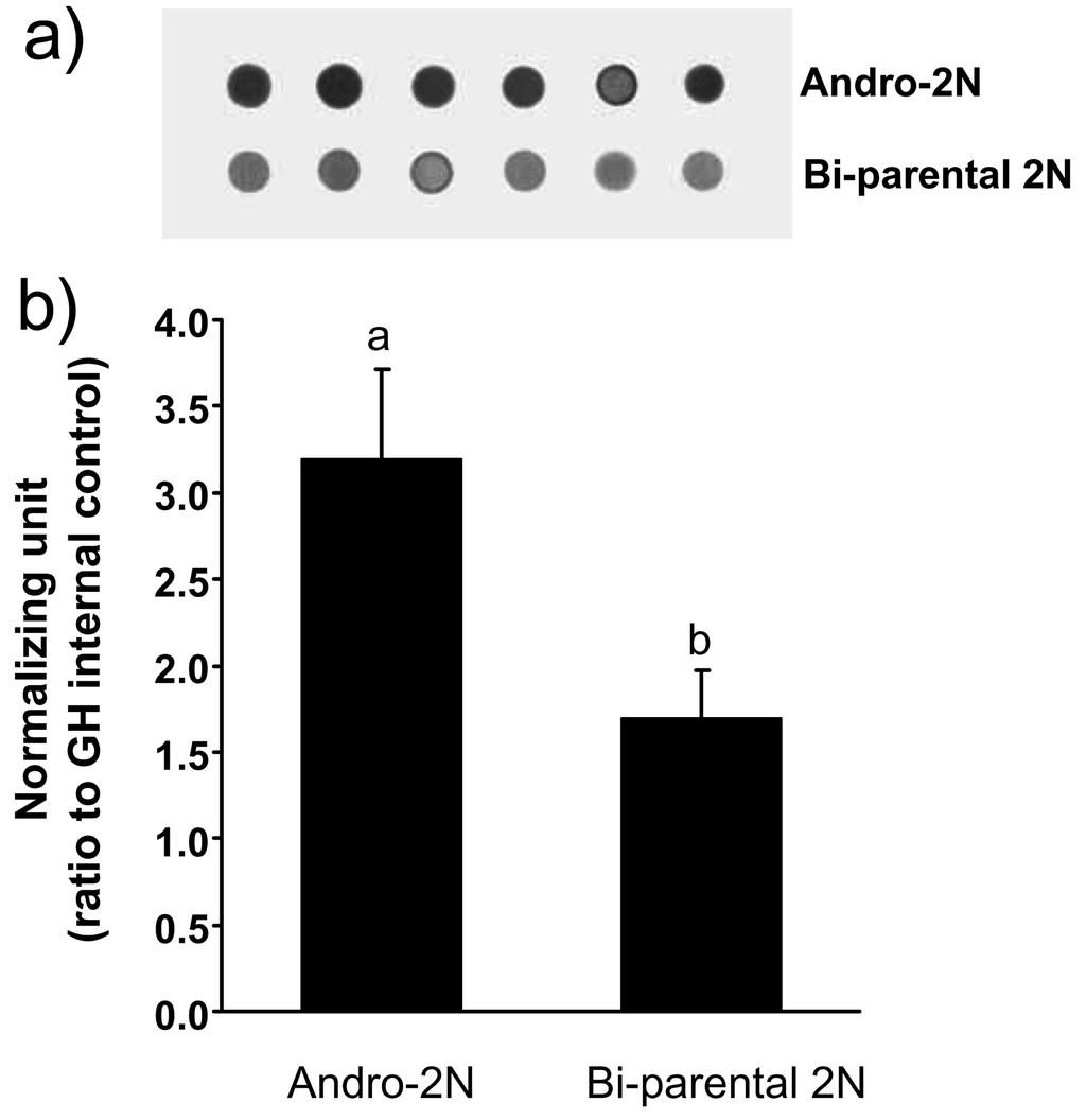 ã 285 Table 2. Percent survival of androgenetic diploid mud loaches along with normal diploid controls as function of age Age Normal diploid control Androgenetic diploid 1 week 98.1±1.6 a 69.4±7.